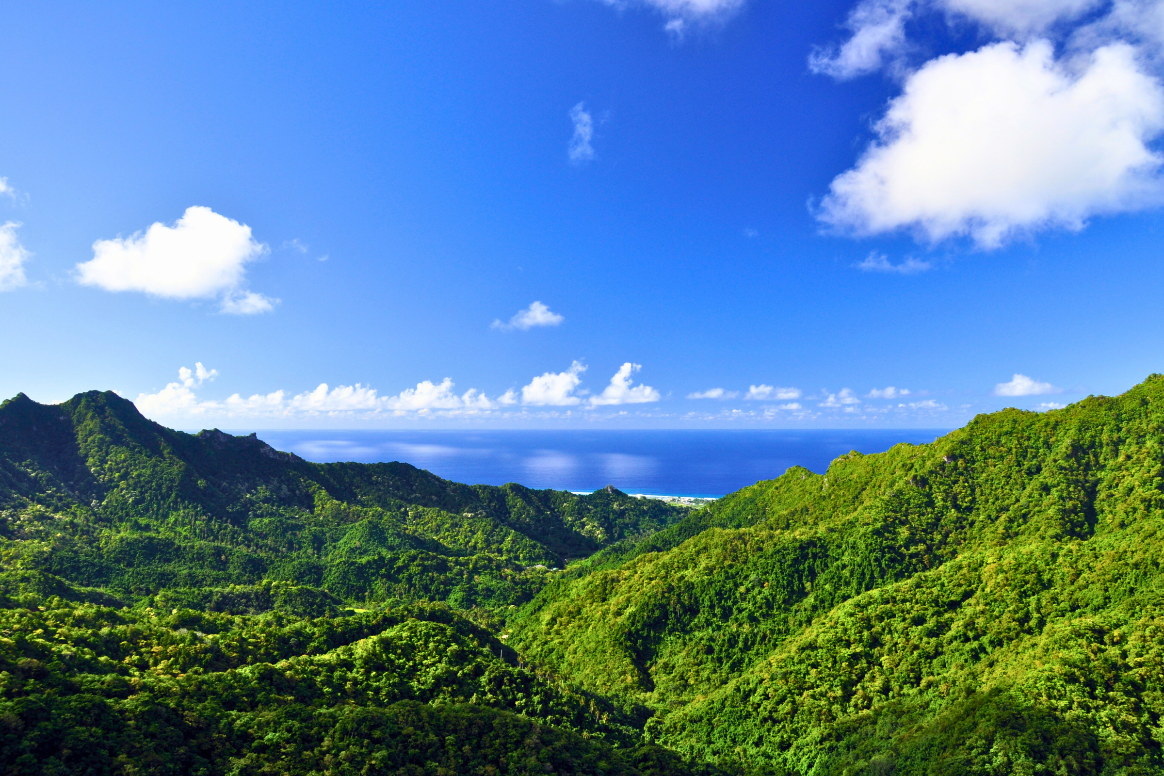 avatiu, rarotonga (4).webp